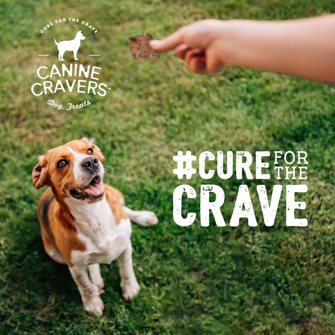 Lamb sourced from Australia and New Zealand enhances Canine Cravers quality.
