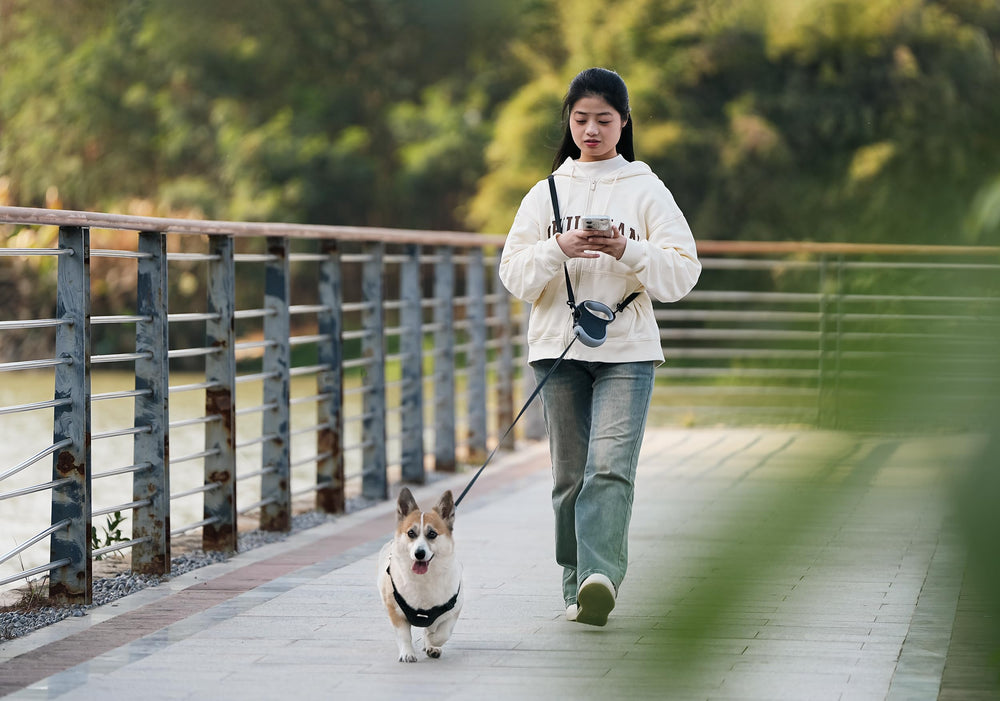 Canine Curation inner core delivers smooth, consistent leash extension.