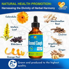 Canis&Cattus herbal formula image features marshmallow, mullein, and elderberry for gentle breathing.