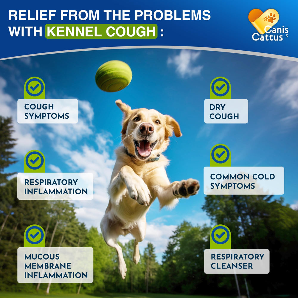 Canis&Cattus liquid drops dosing bottle shows easy administration for quick relief.