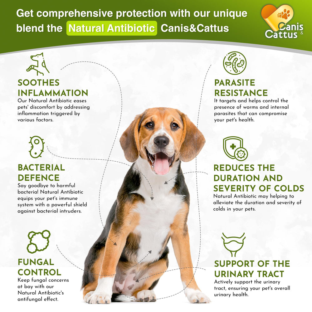 Canis&Cattus liquid pour demonstrates easy administration for pets