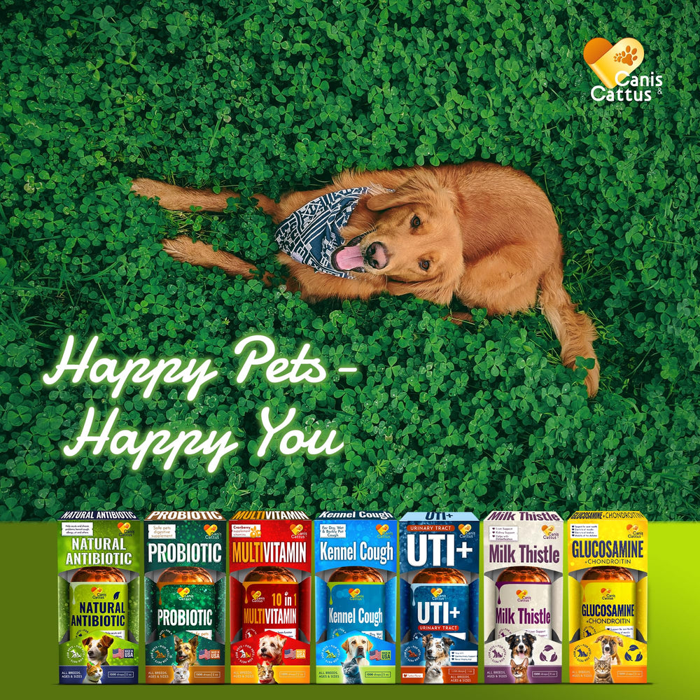 Canis&Cattus pet health urinary support visuals emphasize urinary comfort