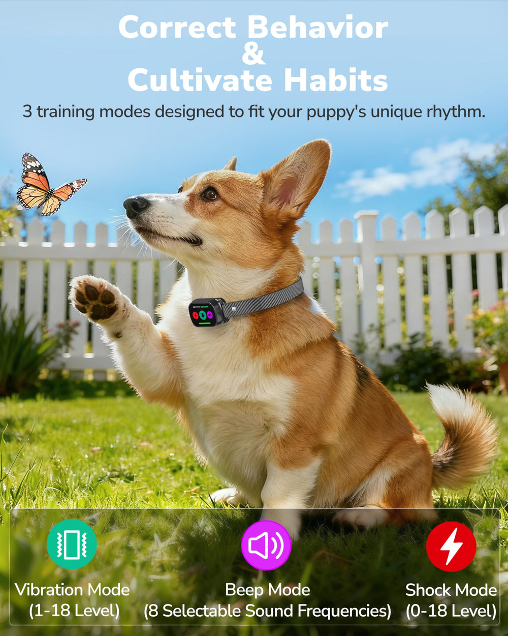 Canivix dog collar remote shows Beep Vibration and Shock modes for guidance