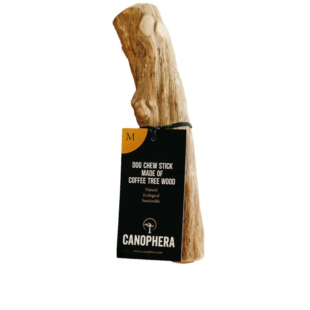 Canophera coffee wood dog chew stick (medium) for stress relief and dental health.