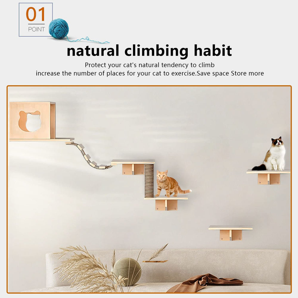 Canormpet cat wall shelves bridge ladders illustrate climbing routes and vertical play for curious cats.