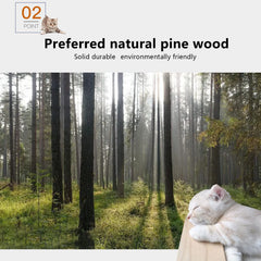 Canormpet cat wall shelves sisal posts provide durable scratching and texture variety for healthy claws.
