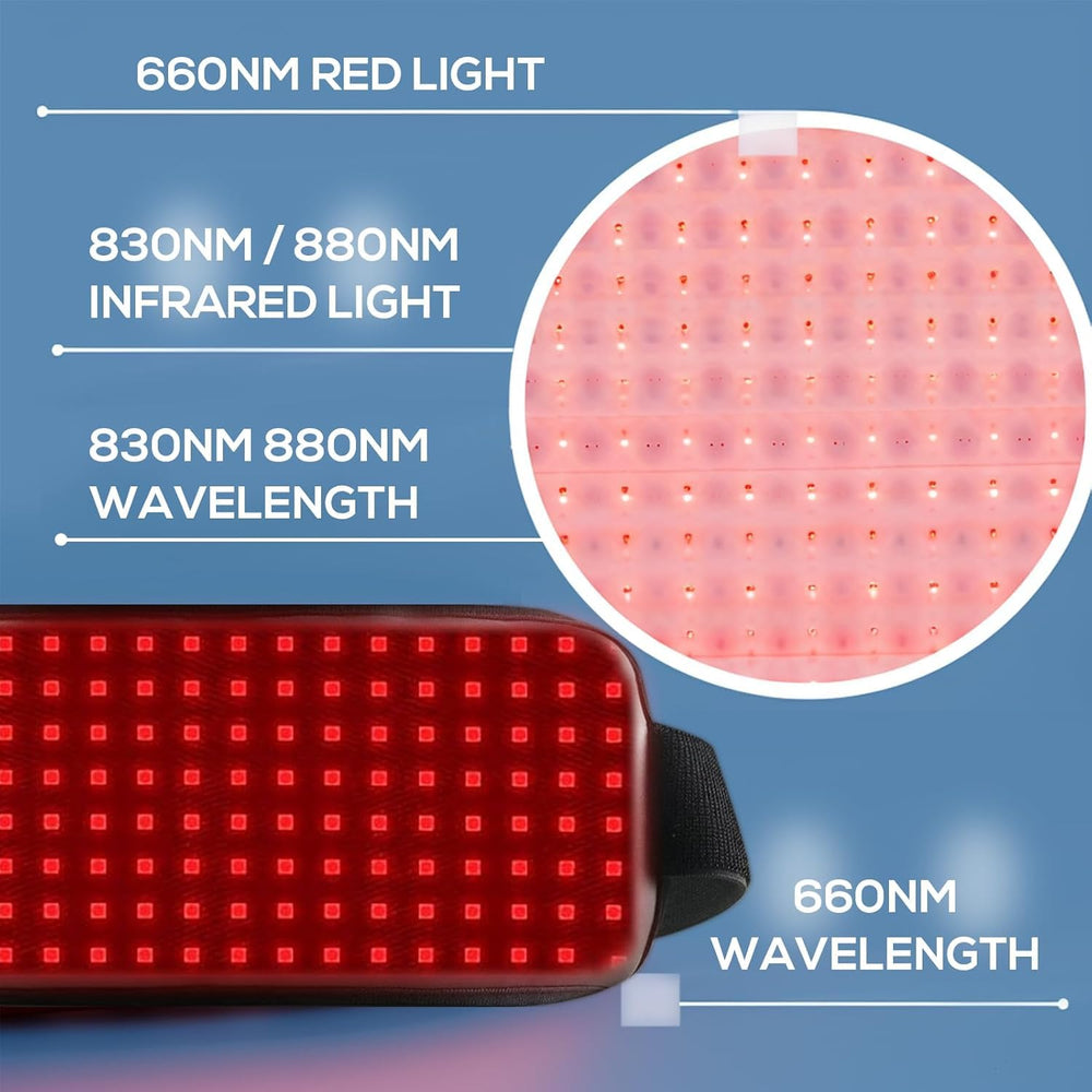 Cantendo red-light therapy belt cat use showing gentle home therapy for feline wellness.