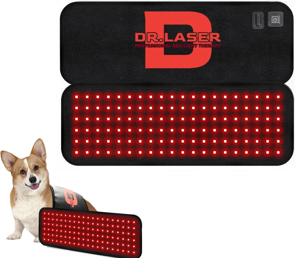 Cantendo red-light therapy belt on a dog's back for at-home care.