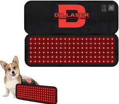 Cantendo red-light therapy belt on a dog's back for at-home care.