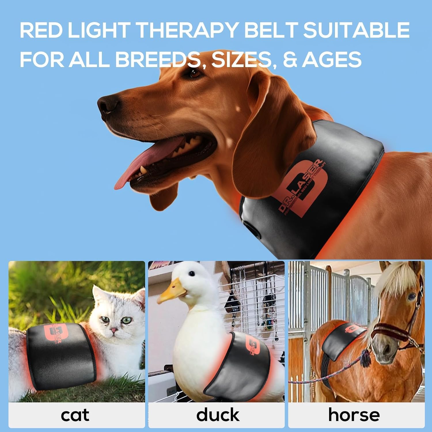 Cantendo red-light therapy belt USB power connection enabling easy at-home sessions.
