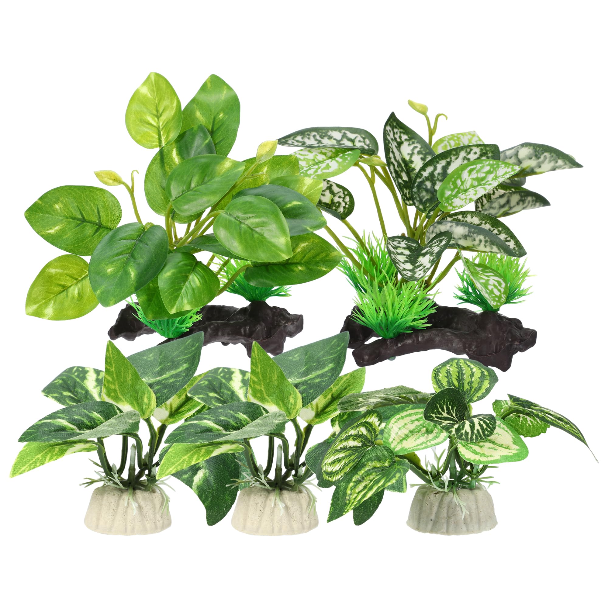 CAPASTEC Aquarium Plants green pack close-up with vibrant leaves for betta habitat enrichment.