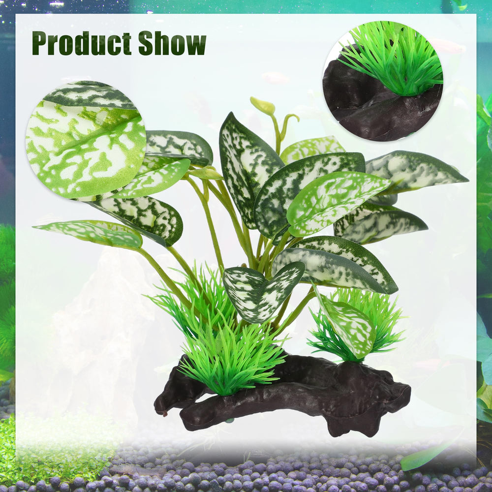 CAPASTEC Driftwood Betta Silk Plants in tank provide hiding and natural-looking greenery.