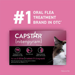 Capstar cat dead fleas falling after treatment indicating rapid relief.