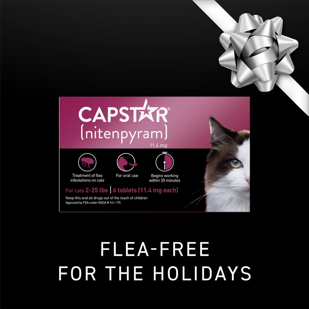Capstar cat tablet in mouth showing easy administration.