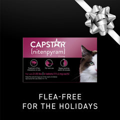 Capstar cat tablet in mouth showing easy administration.