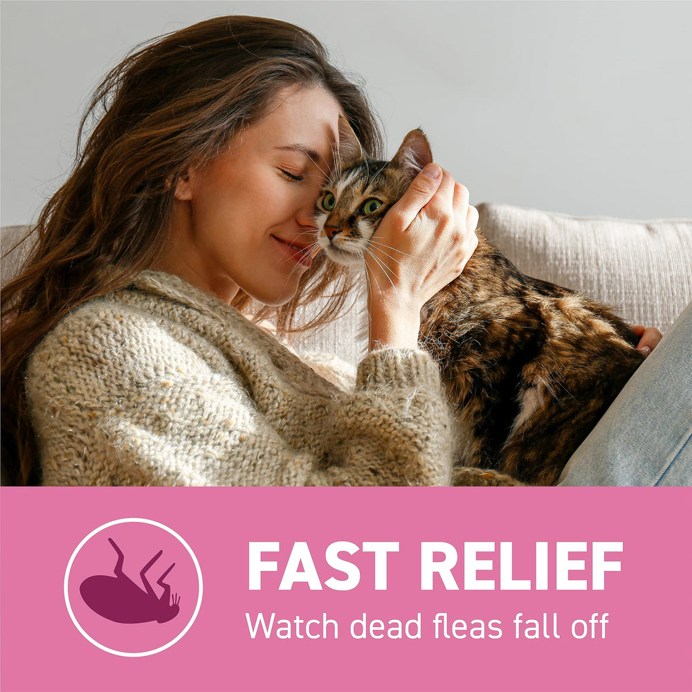 Capstar cat with other medications illustrates compatibility with additional treatments.