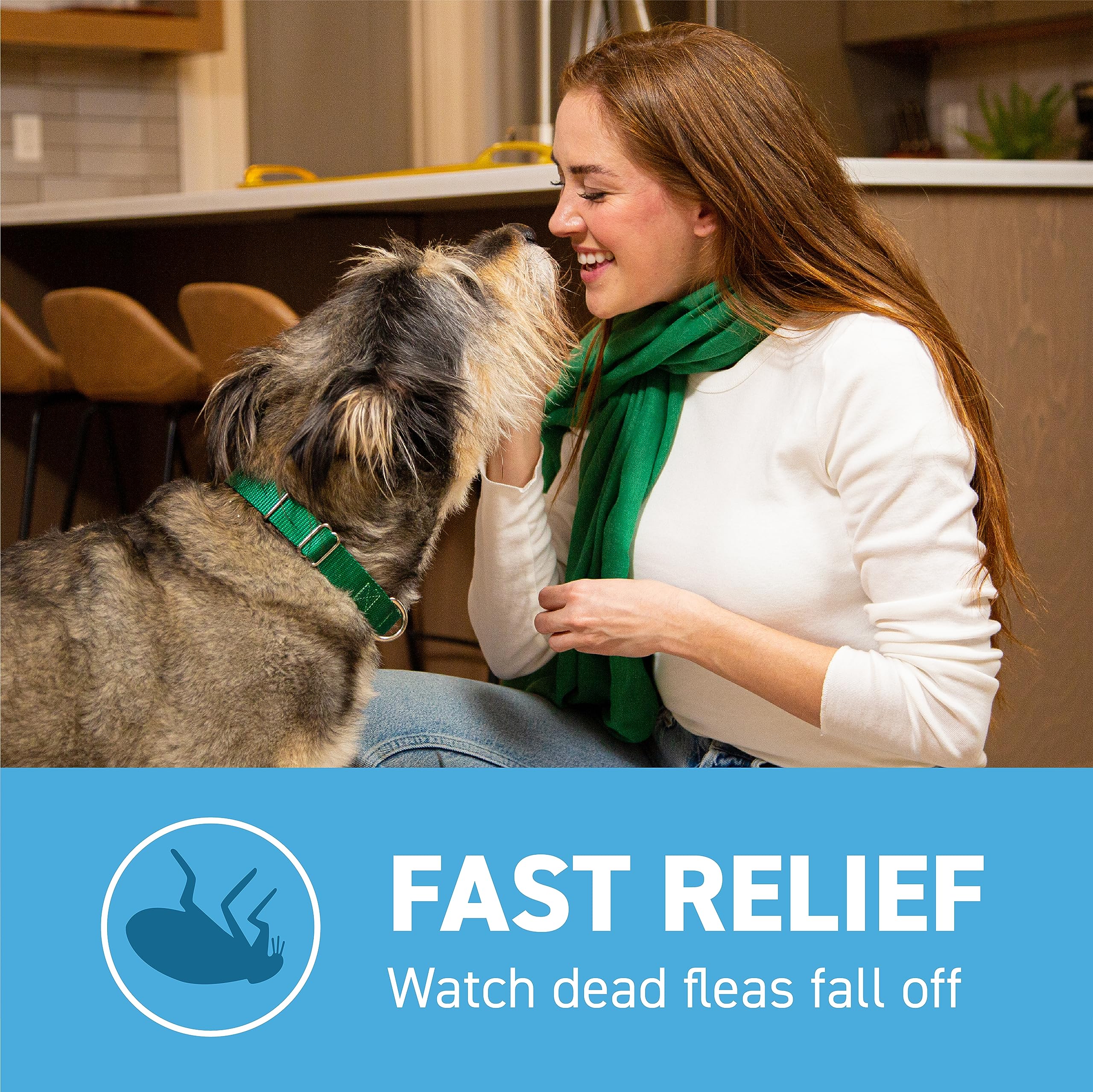 Capstar tablet beside a dog paw illustrating simple daily dosing.