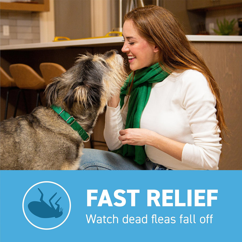 Capstar tablet beside a dog paw illustrating simple daily dosing.