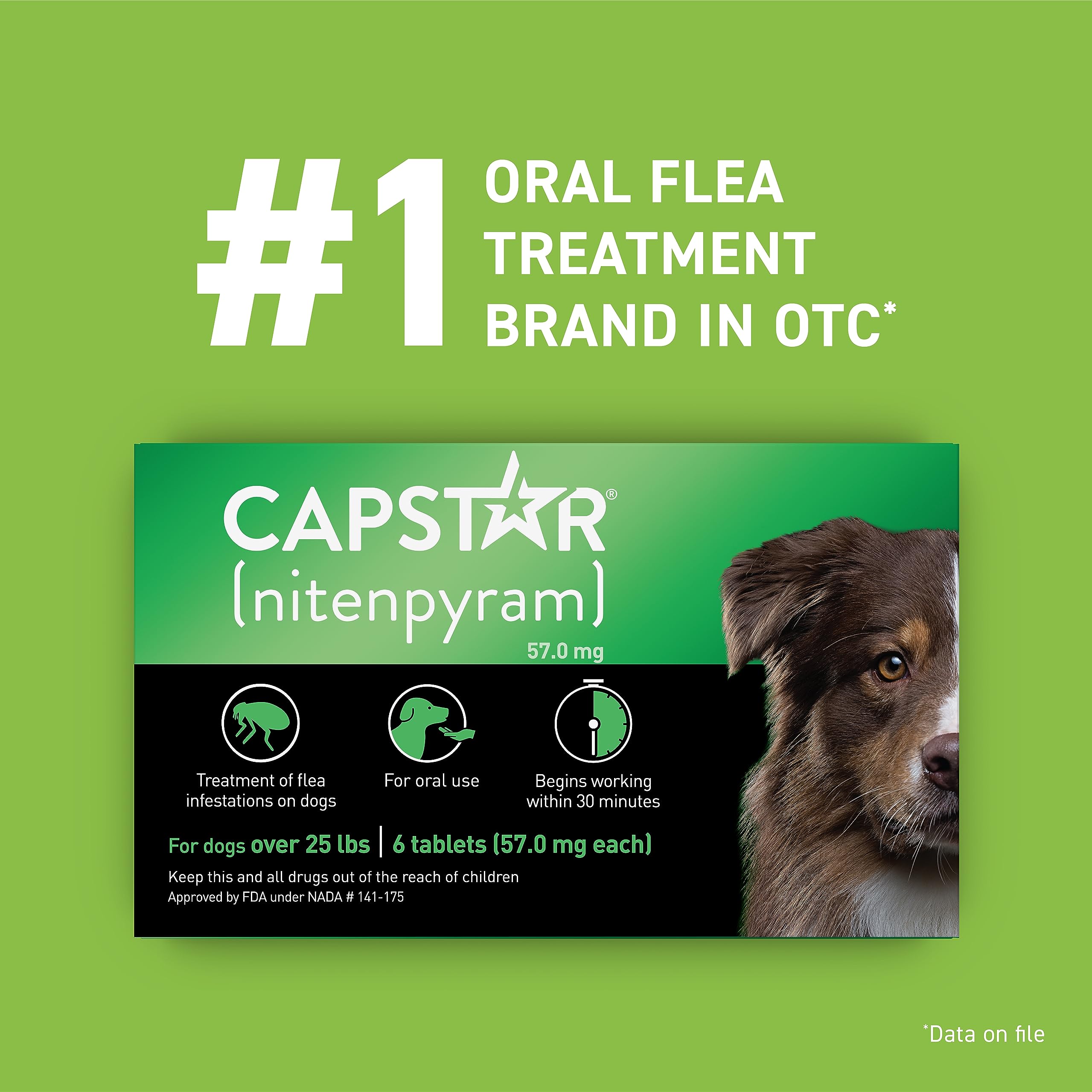 Capstar for Dogs dosing action demonstrates easy at-home administration.