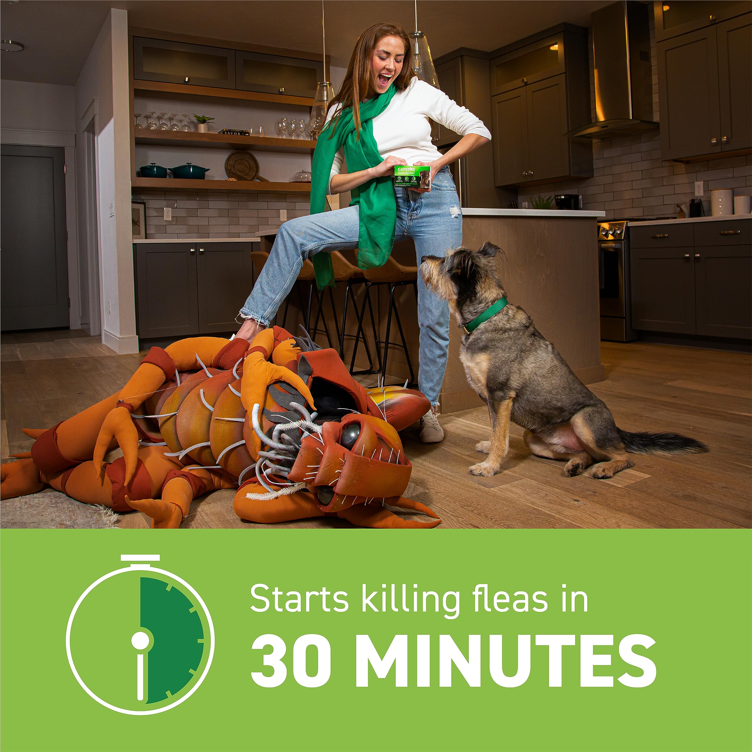 Capstar for Dogs dead fleas on coat illustrates quick flea kill.
