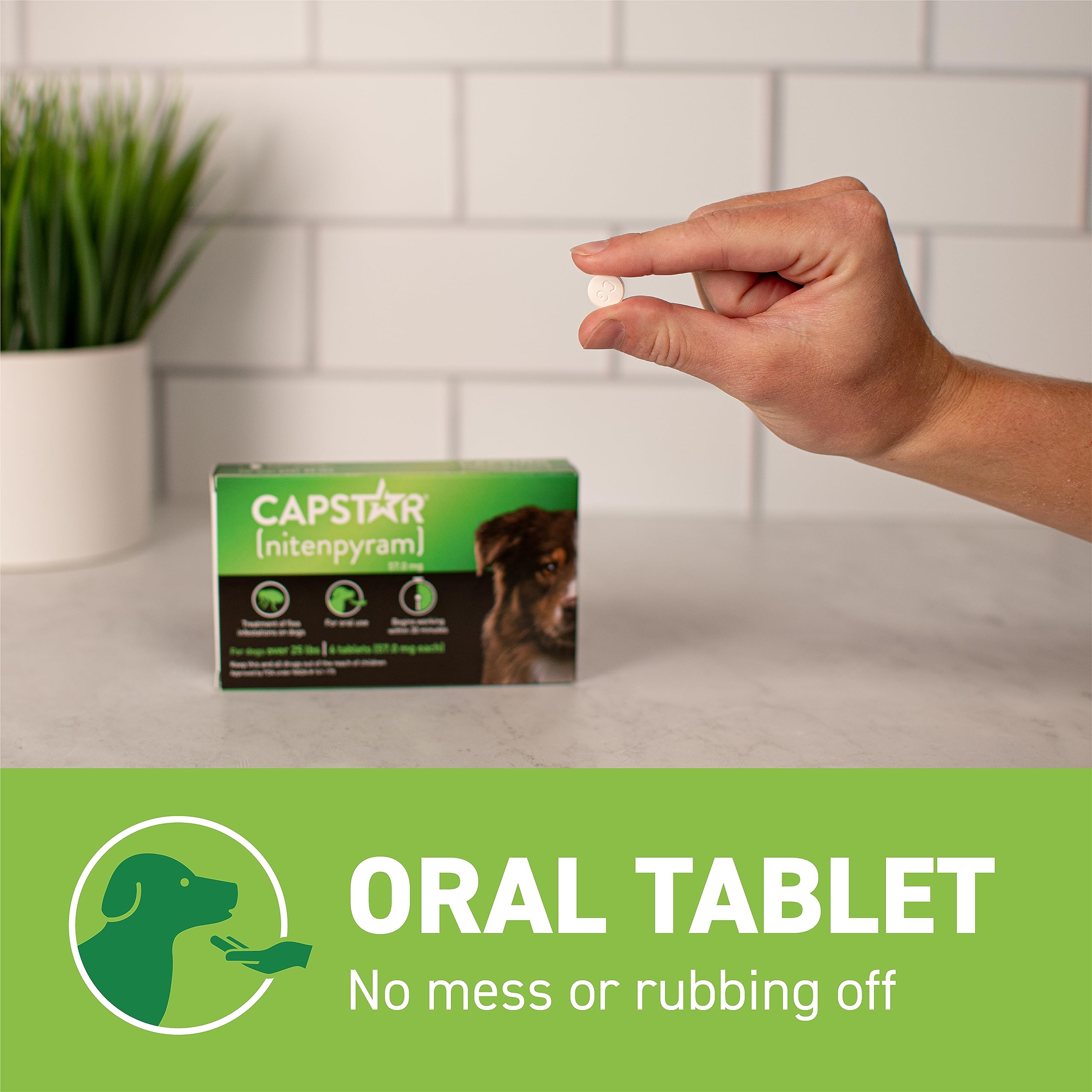 Capstar for Dogs over-the-counter shelf display emphasizes no prescription.