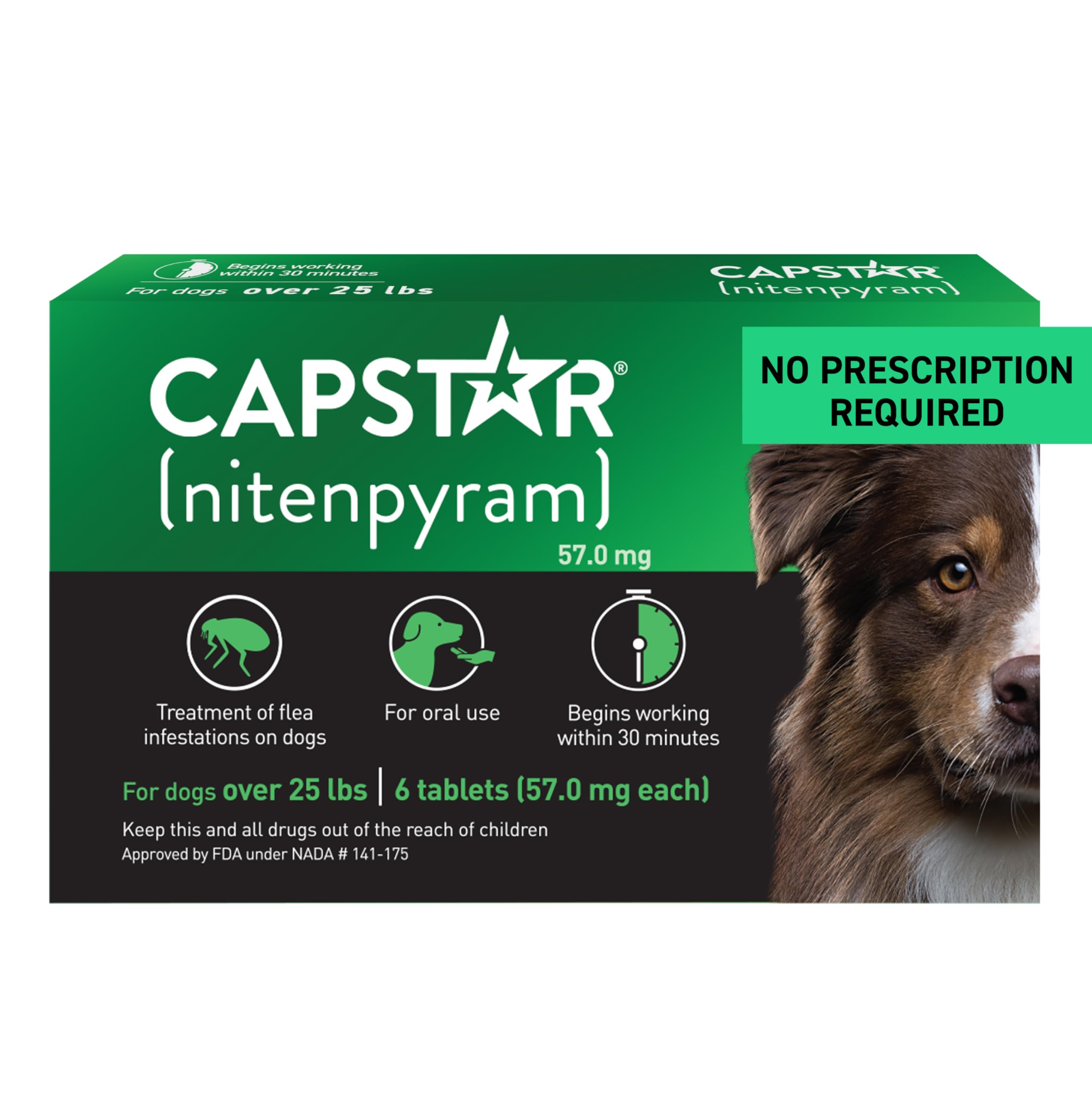 Capstar for Dogs packaging and pills show fast, at-home flea relief.