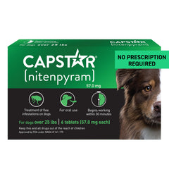 Capstar for Dogs packaging and pills show fast, at-home flea relief.