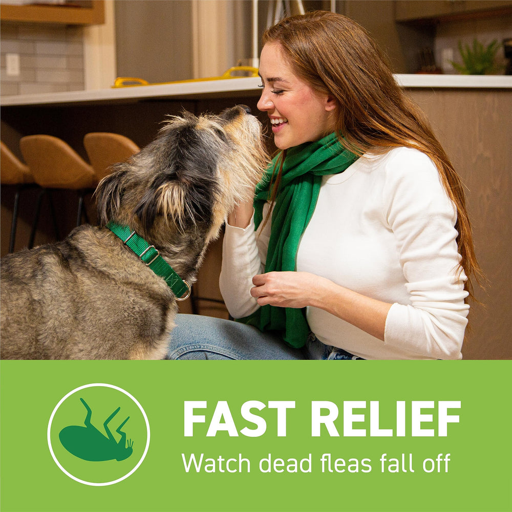 Capstar for Dogs reinfestation scenario indicating possible additional dosing.