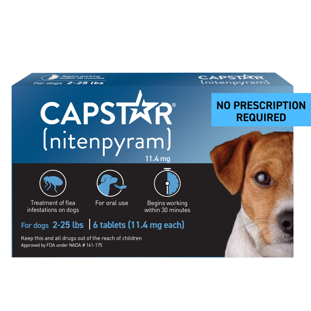 Capstar dog packaging shows easy at-home flea treatment access.