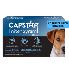 Capstar dog packaging shows easy at-home flea treatment access.