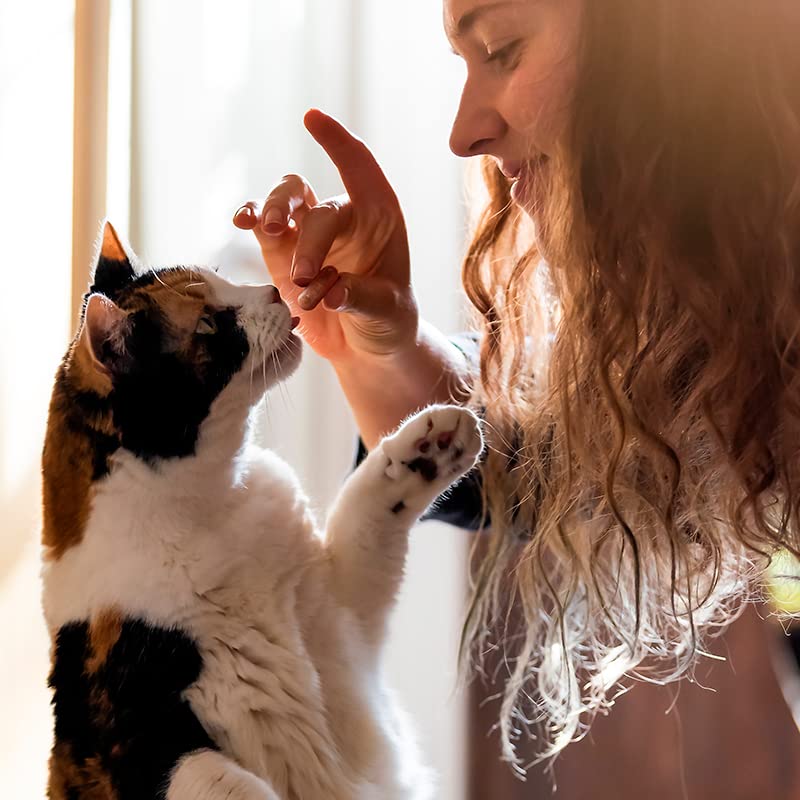 Capsuline PetCaps cat-friendly dosing with chicken aroma supports smoother dosing routines.