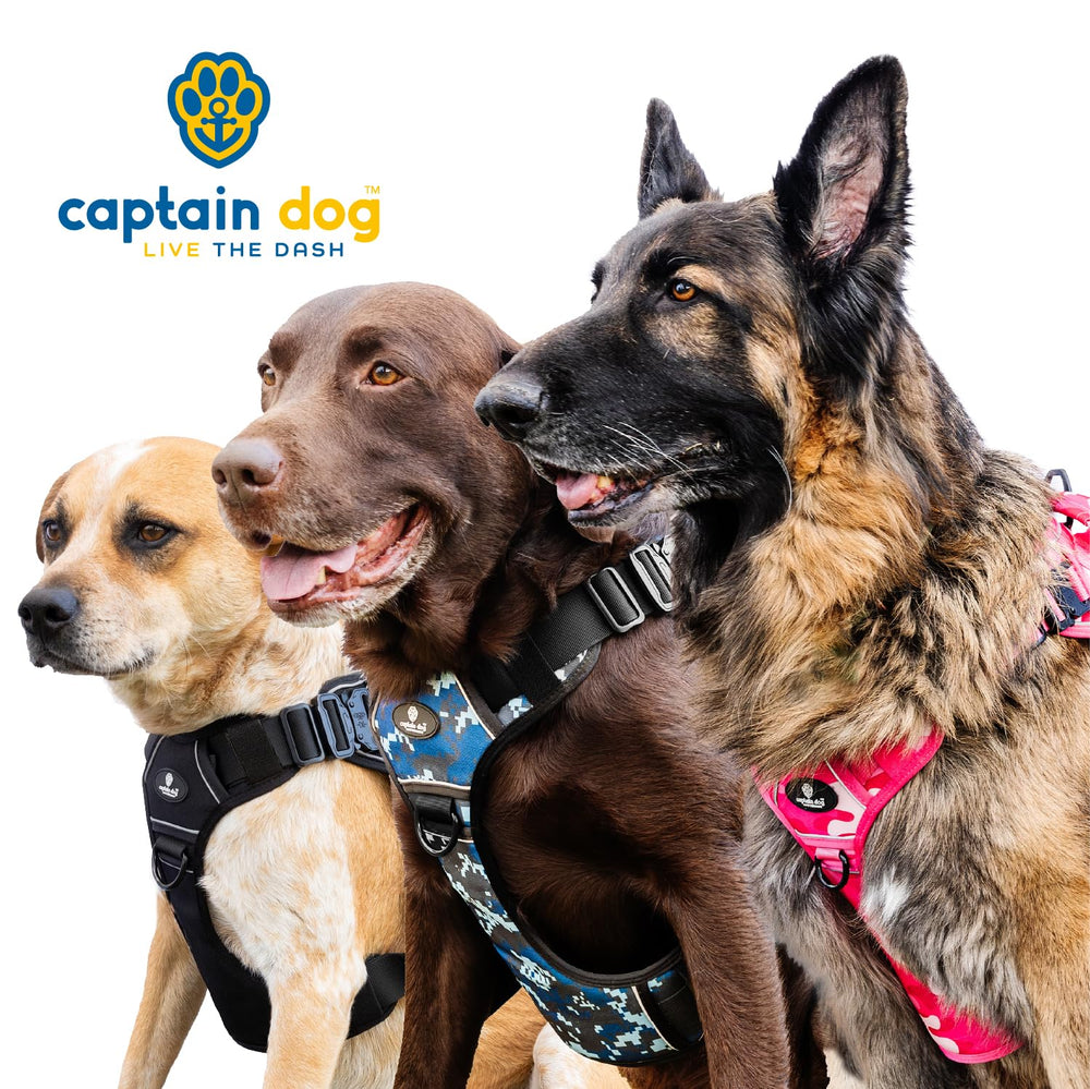 Captain Dog XXL Xdog Vest pink camo increases visibility during dusk walks