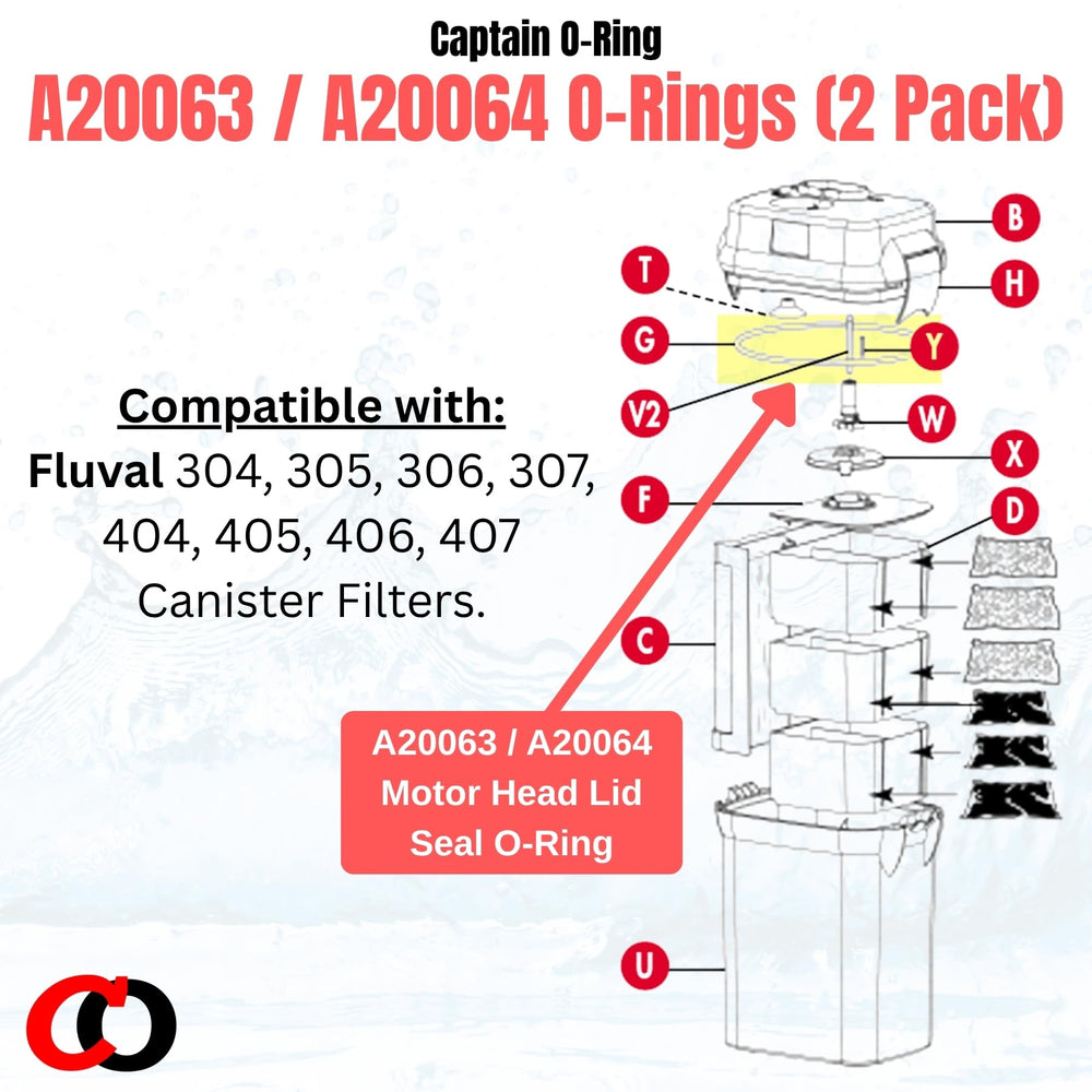 Captain O-Ring motor head-lid seal close-up demonstrates a secure fit for canister filters.