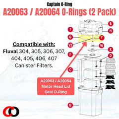 Captain O-Ring motor head-lid seal close-up demonstrates a secure fit for canister filters.
