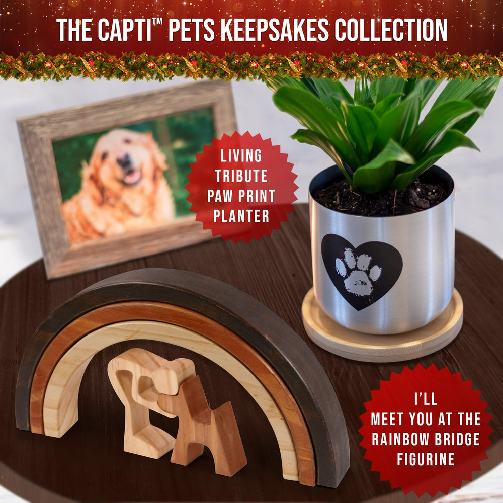 Capti Rainbow Bridge pet-memory gift sits beside photos as a comforting keepsake.