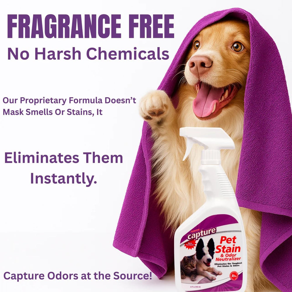 Capture Pet Stain & Odor Remover sprays on carpet to lift stubborn stains