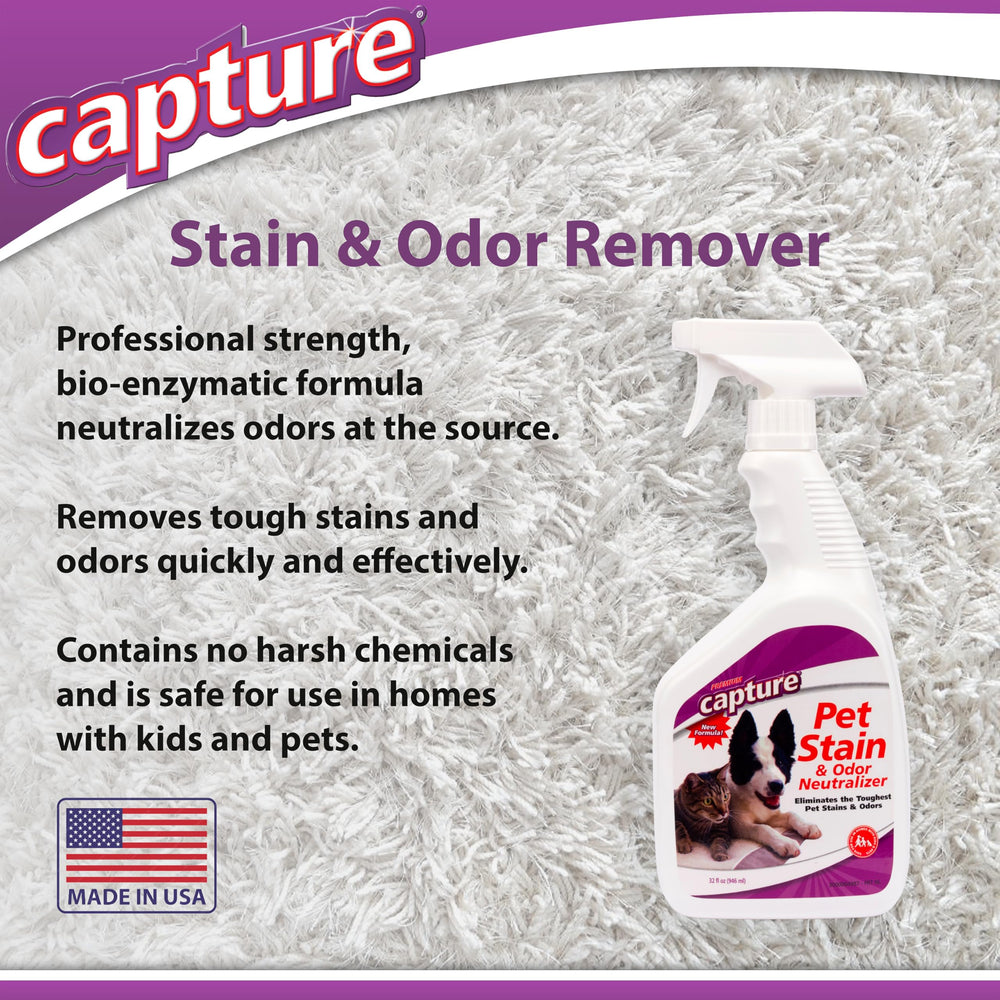 Family room with Capture removing dog urine odors from fabric