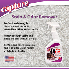 Family room with Capture removing dog urine odors from fabric