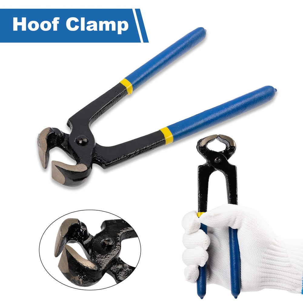 Capuca 8-inch hoof rasp captures sturdy carbon steel for efficient hoof shaping.