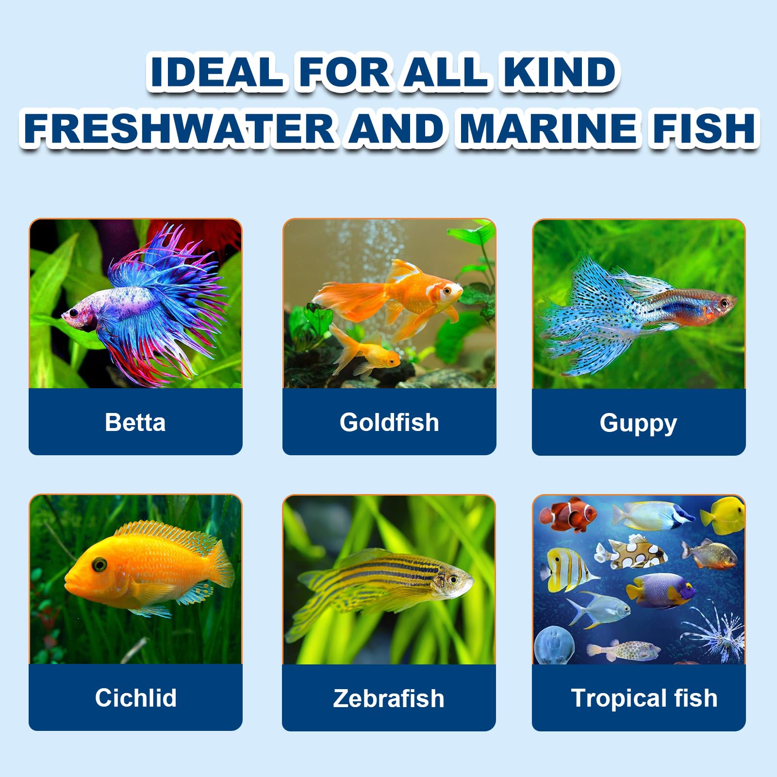Capuca Brine Shrimp Cubes dispense image demonstrates easy portioning for feeding