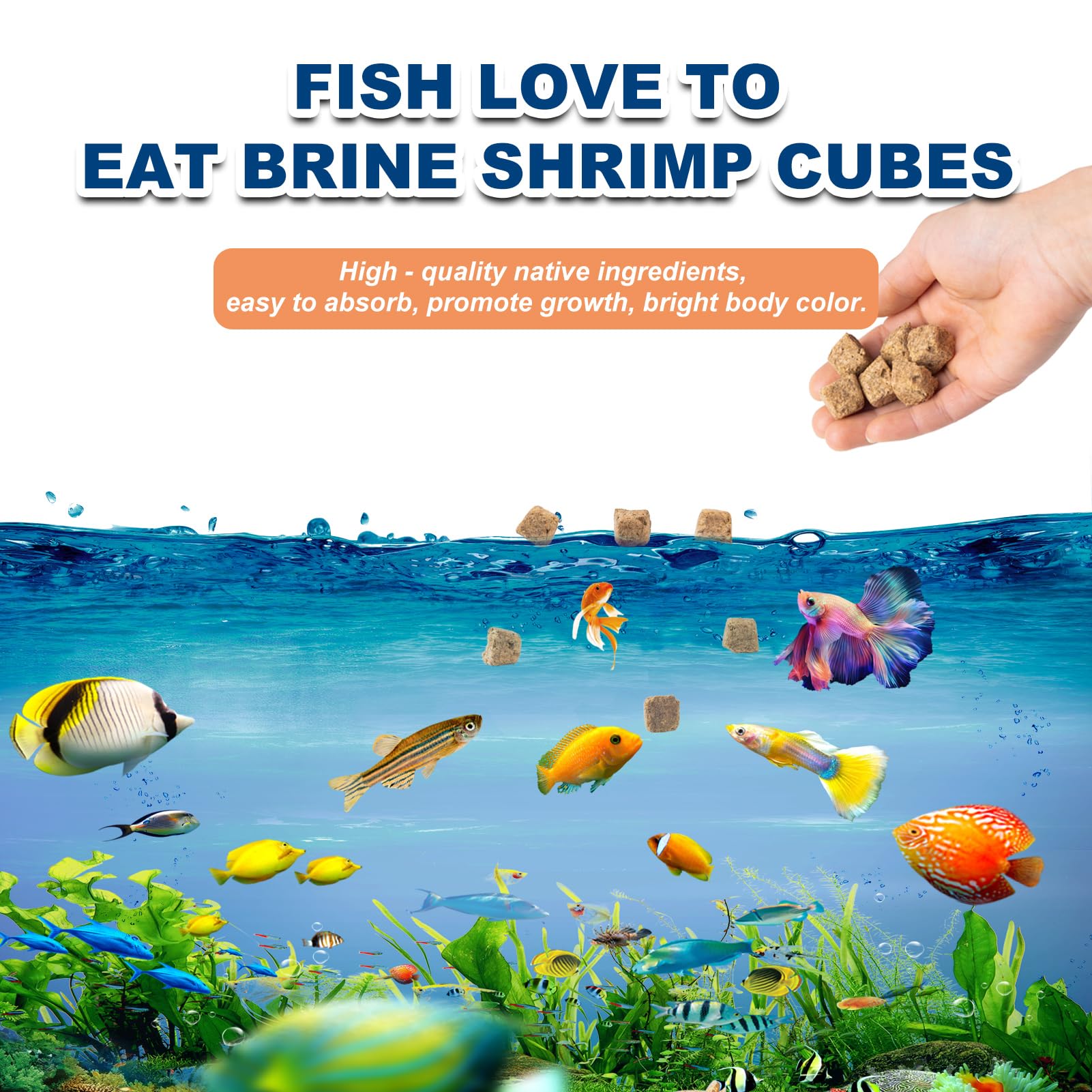 Capuca Brine Shrimp Cubes nutrition image emphasizes high-protein content for growth and color