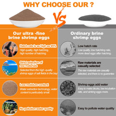 Capuca Brine Shrimp Eggs in incubation bowl illustrating easy hatch readiness
