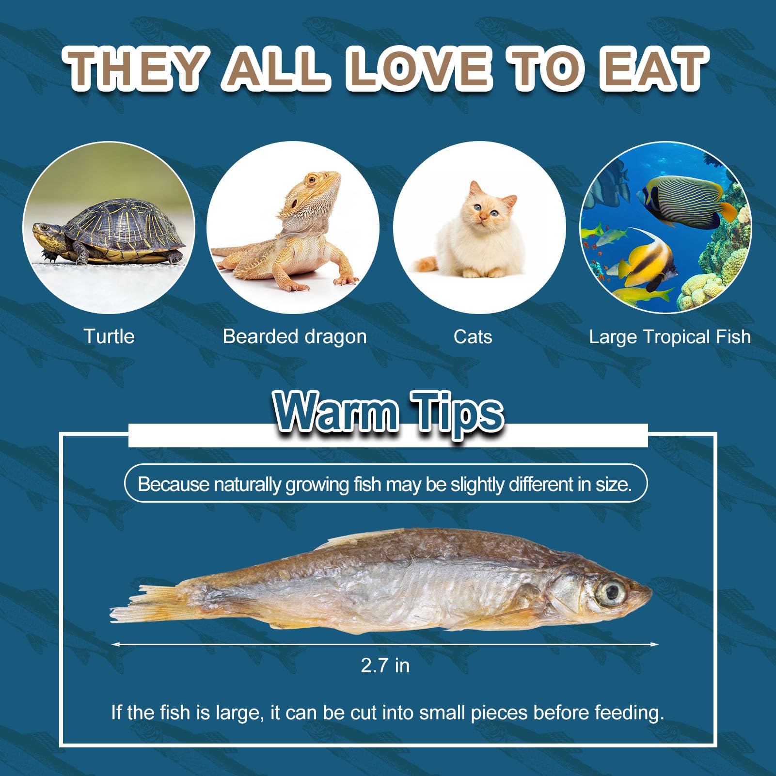 Capuca Dried River Fish bowl serving setup for simple feeding