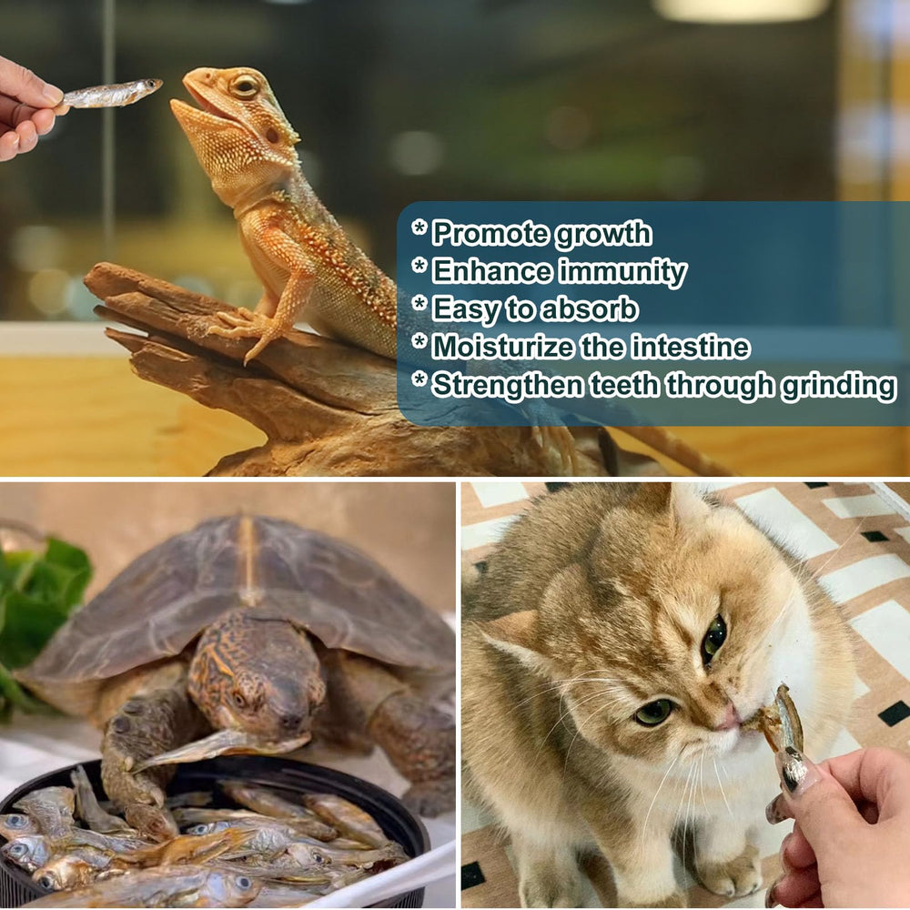 Capuca Dried River Fish nutrition-dense snacks support pet activity
