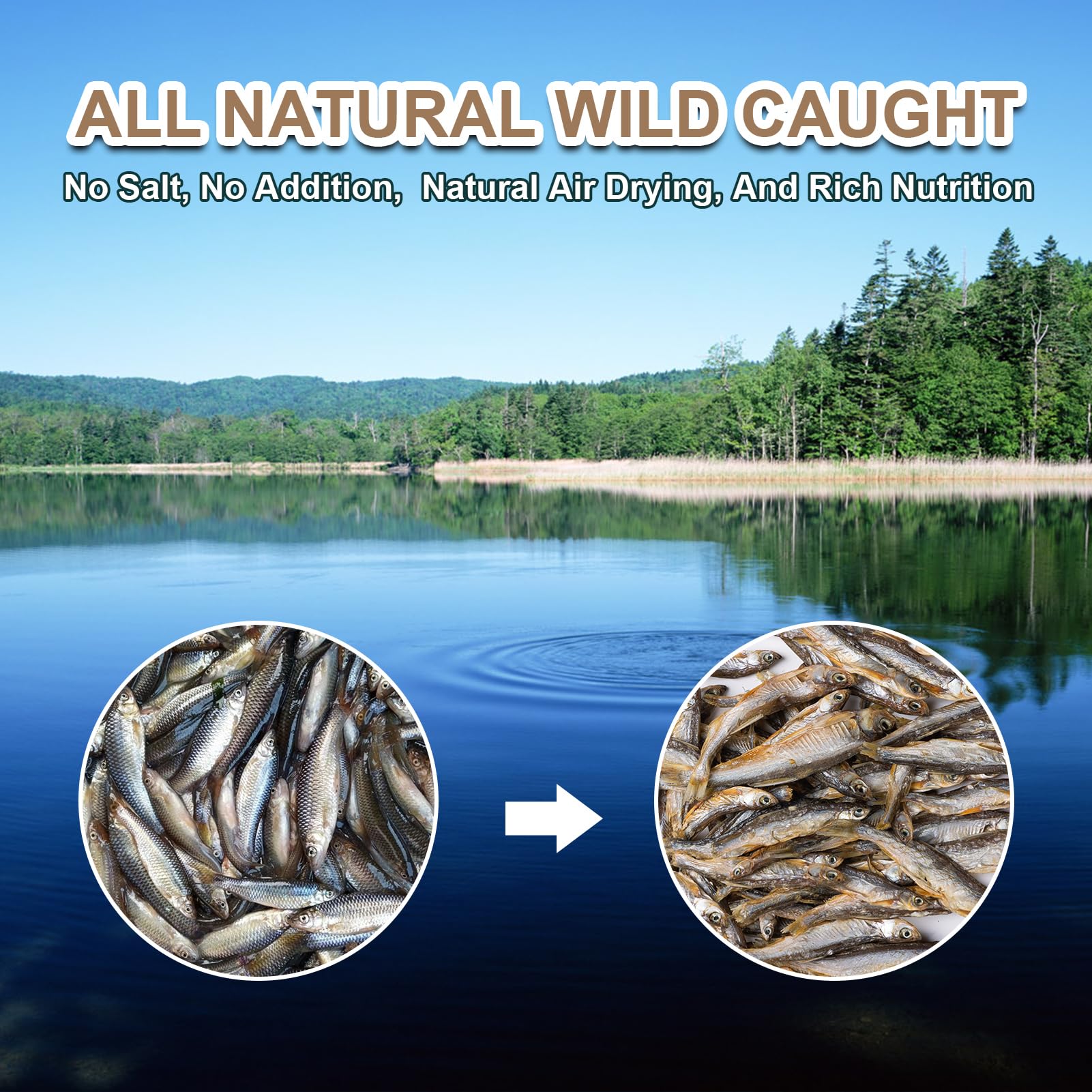 Capuca Dried River Fish portion serving for easy feeding
