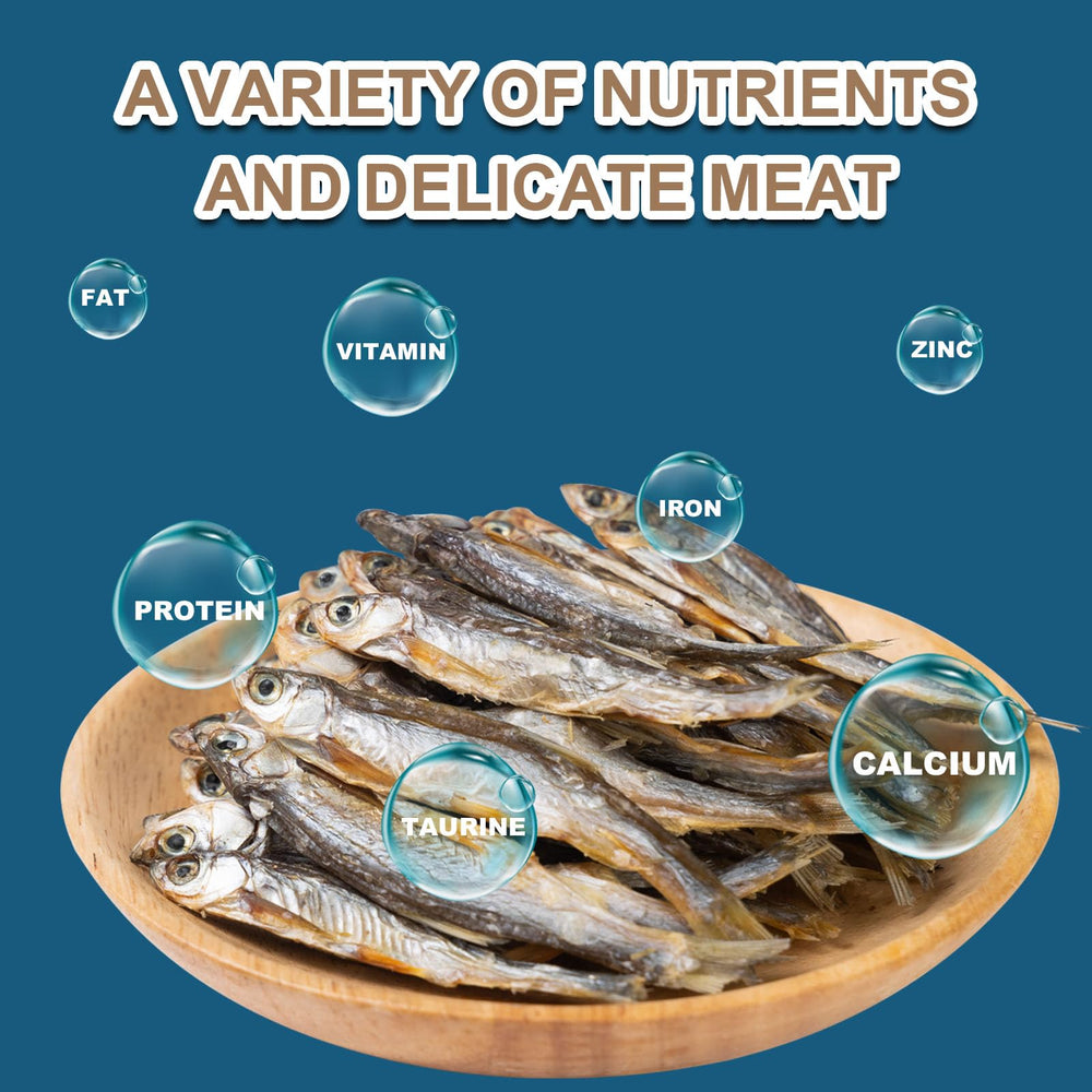 Capuca Dried River Fish turtle snacks showing protein-rich treat