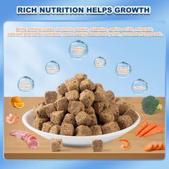 Capuca Freeze Dried Brine Shrimp Cubes closeup highlights protein-rich texture for quick feeding