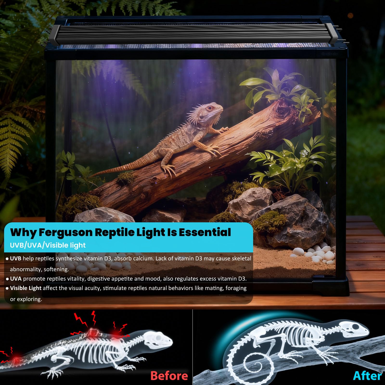 Capybland UVB light spectrum 6500K visible light — complements the reptile’s visual environment.