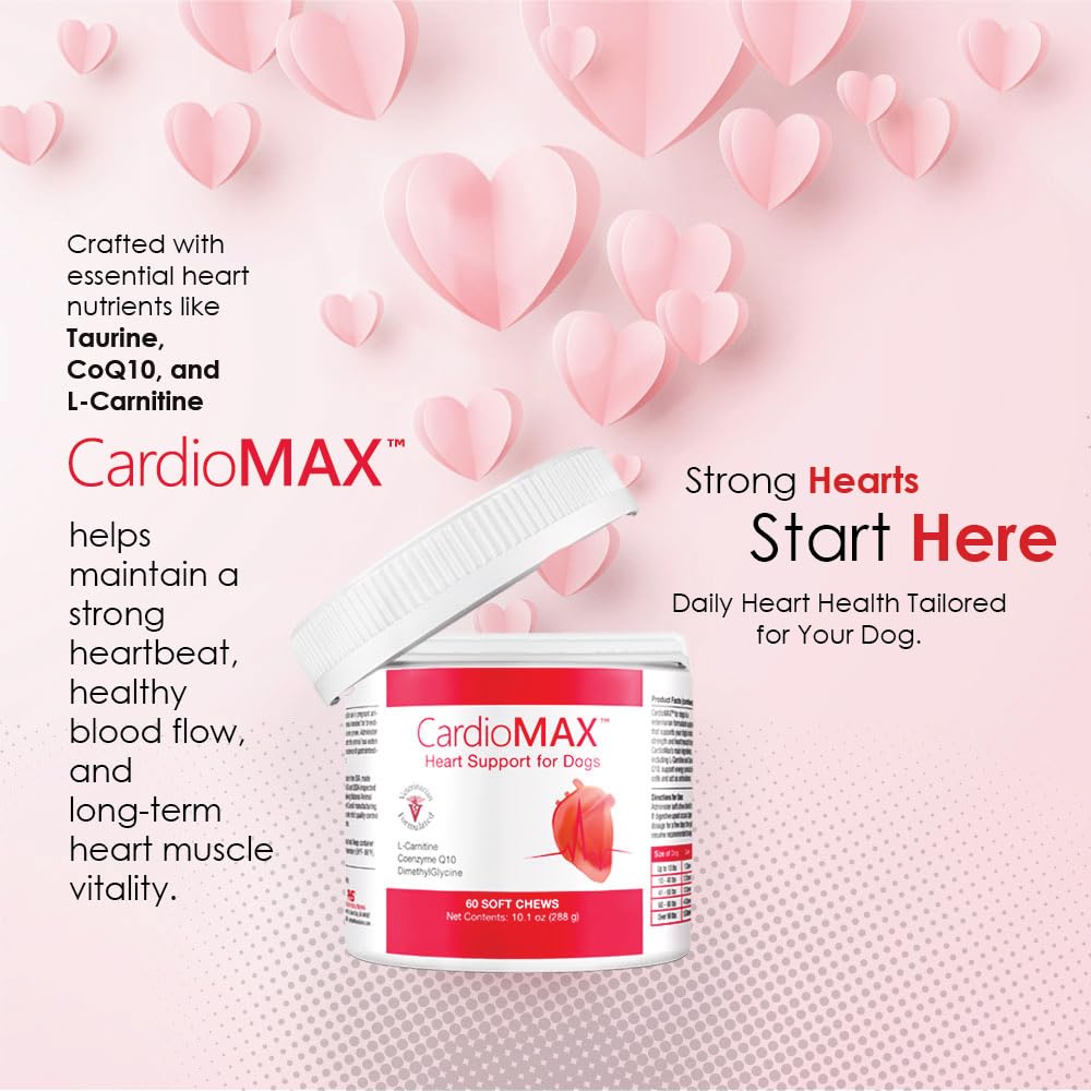CARDIOMAX-dog-with-chews demonstrates easy administration in real-life routines.