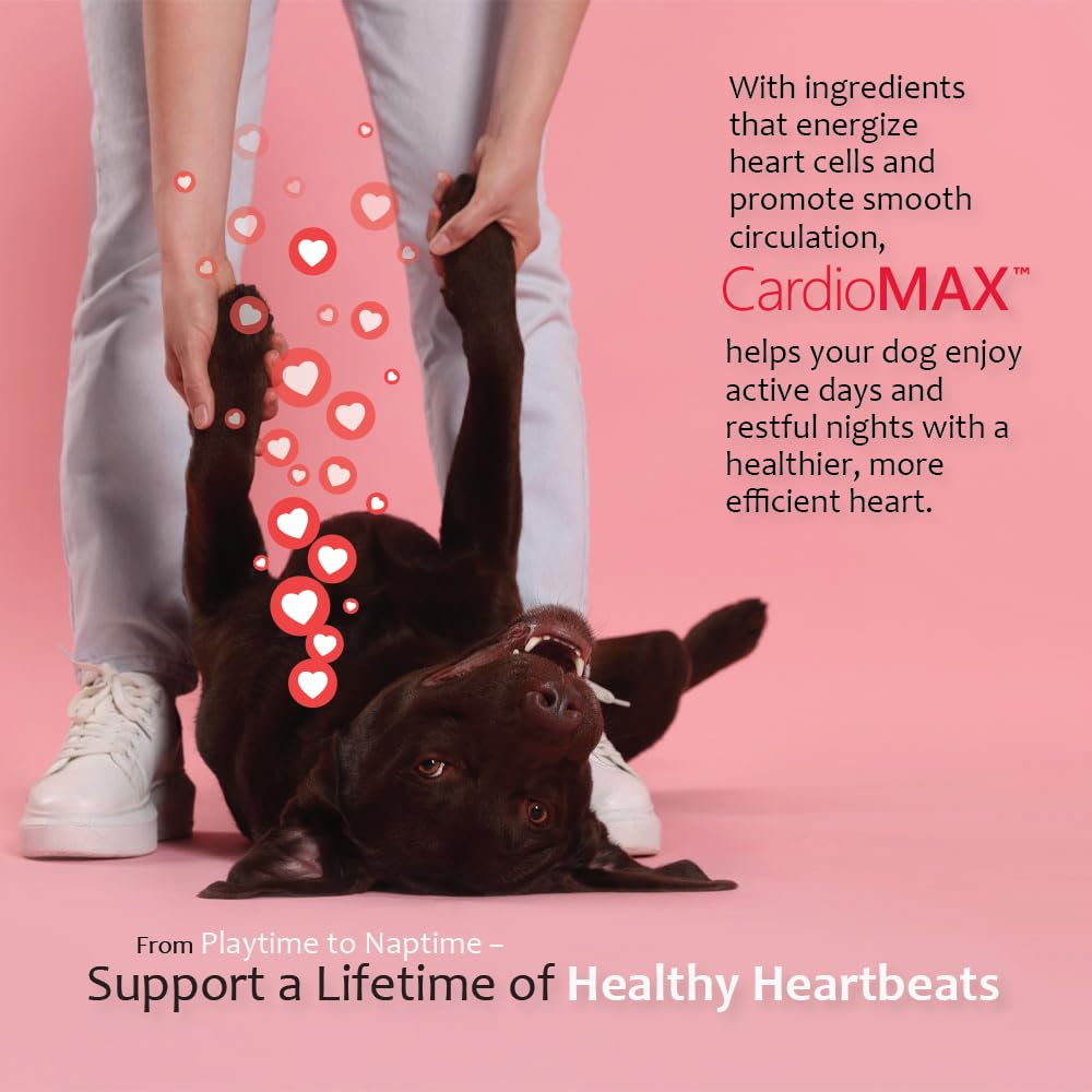 CARDIOMAX-ingredients-l-taurine-carnitine-coq10 describe essential nutrients for cardiovascular care.